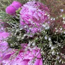 3.webp